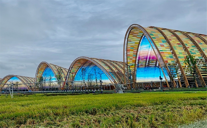 Ag亚洲集团(中国游)官方网站